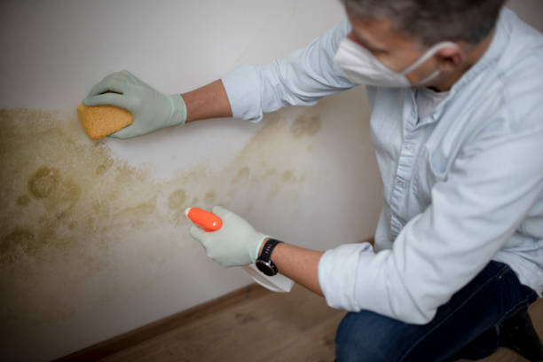 Water Damage Restoration in Monmouth, OR
