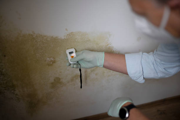 Best Office Mold Removal Services  in Monmouth, OR