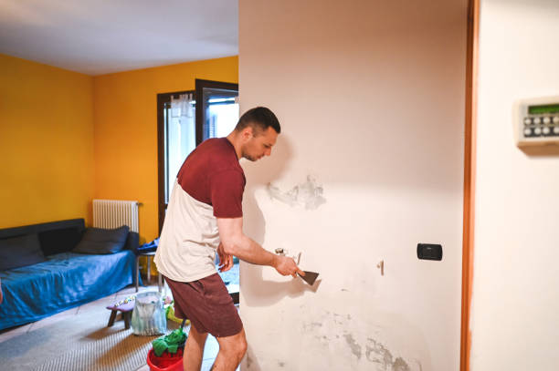 Professional Mold Removal in Monmouth, OR