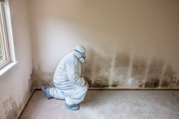 Best Mold Cleaning Services  in Monmouth, OR